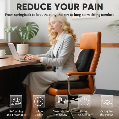 Lumbar Support Cushion for Office Chair,Ergonomic Design Memory Foam Seat Pillow, Pain Relief Sciatica Tailbone Back Support