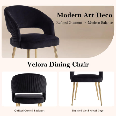 younturn Modern Velvet Upholstered Dining Chairs Set of 2, Comfortable Padded Kitchen Chairs with Armrests