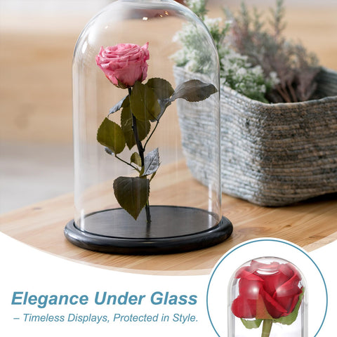 sourcing map Glass Cloche Display Dome, 4.7" x 2.7" Glass Dome Display Case Wood Base Tabletop Jar Case Decorative Bell Jar for Plant Home Decor