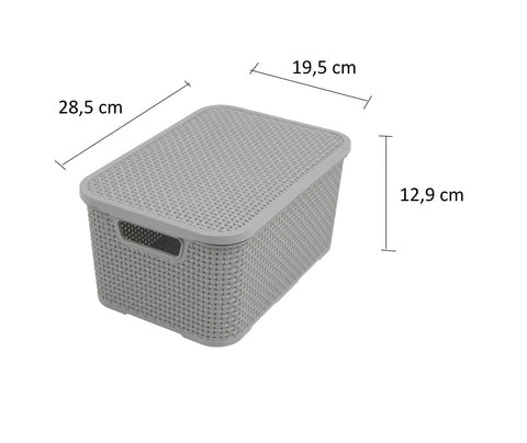 BranQ - Home essential Set of 2 baskets with lid in rattan design, size S 7 L, BPA free, PP plastic, light gray, 28.5 x 19.5 x 12.9 cm, 2 pieces, S