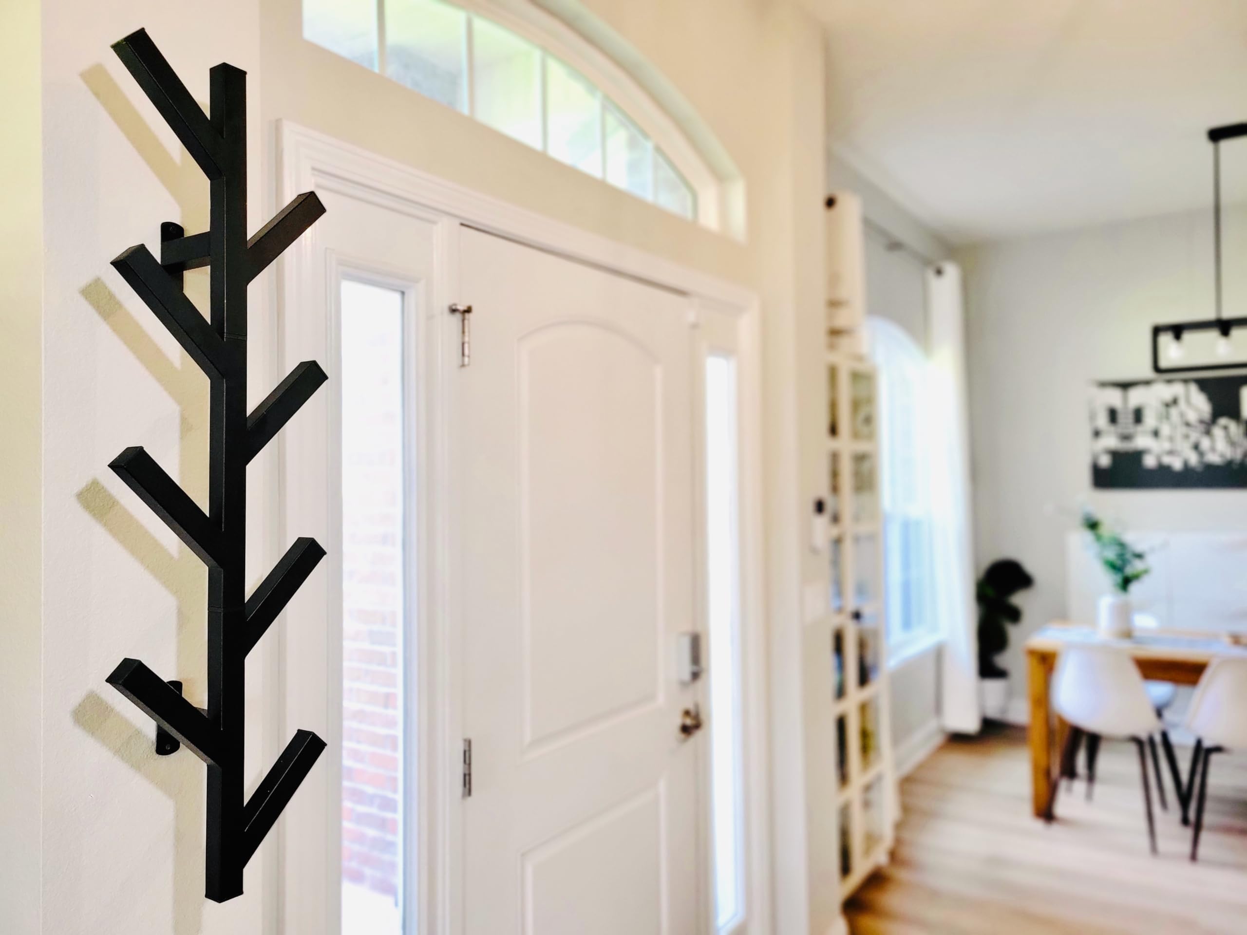 Premium Racks Coat Rack & Hat Rack - Modern Design - Wall Mounted - Stylish - (Black)