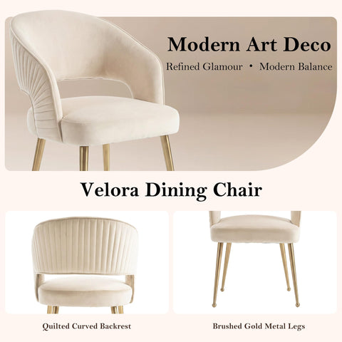 younturn Modern Velvet Upholstered Dining Chairs Set of 2, Comfortable Padded Kitchen Chairs with Armrests