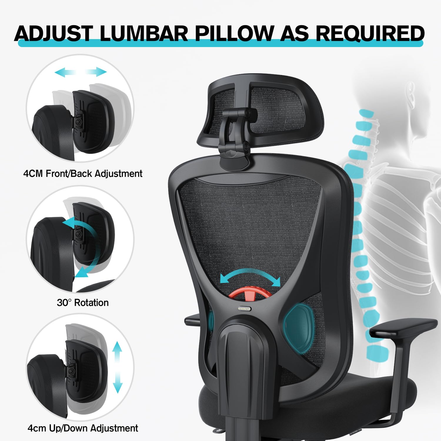 Eucladoceros Ergonomic Office Chair - Lift Up Mesh Backrest, 330lbs, Black