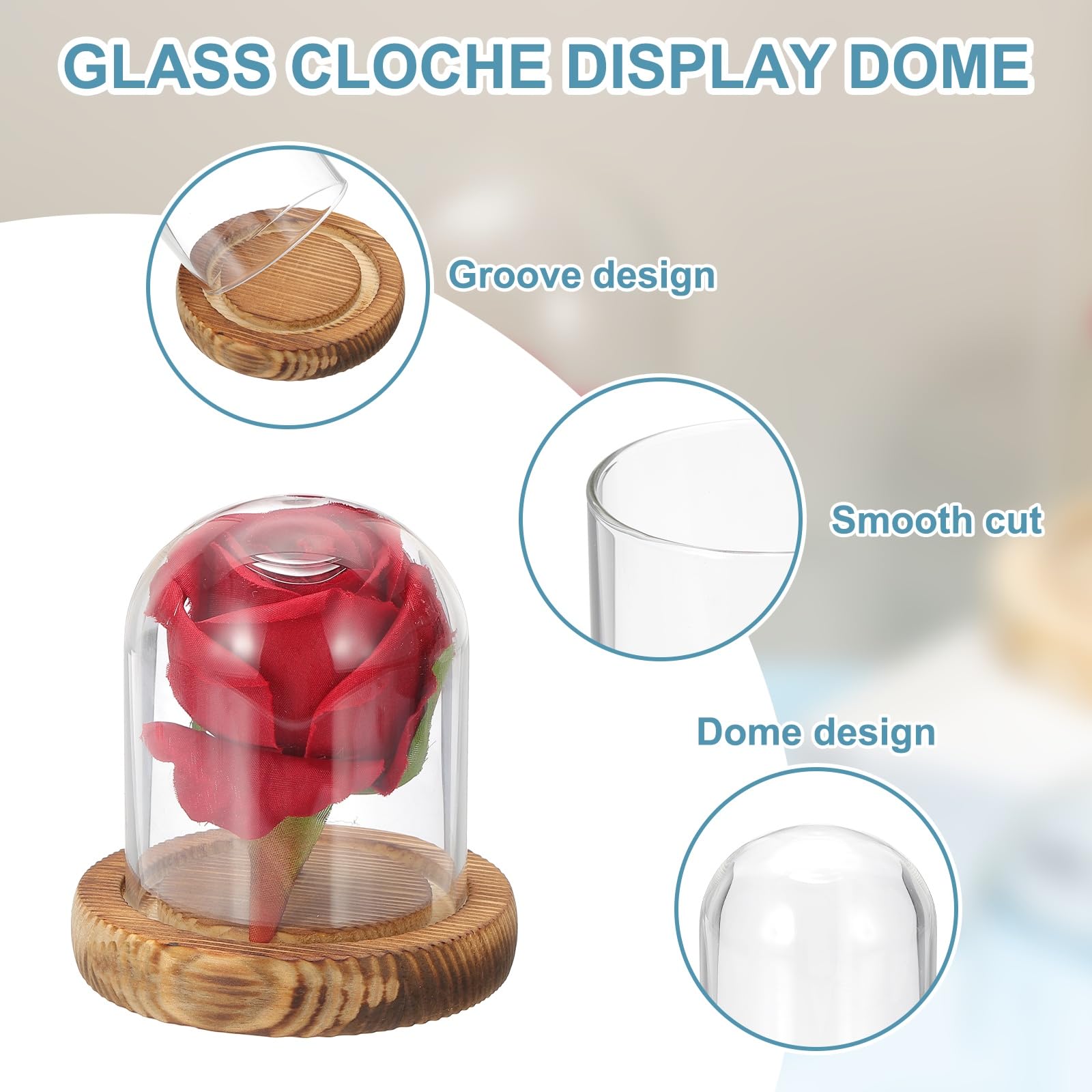 sourcing map Glass Cloche Display Dome, 3.1" x 2.5" Glass Dome Display Case Wood Base Tabletop Jar Case Decorative Bell Jar for Plant Home Decor