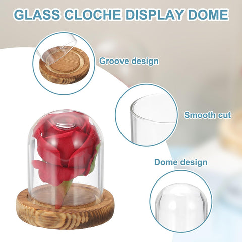 sourcing map Glass Cloche Display Dome, 3.1" x 2.5" Glass Dome Display Case Wood Base Tabletop Jar Case Decorative Bell Jar for Plant Home Decor