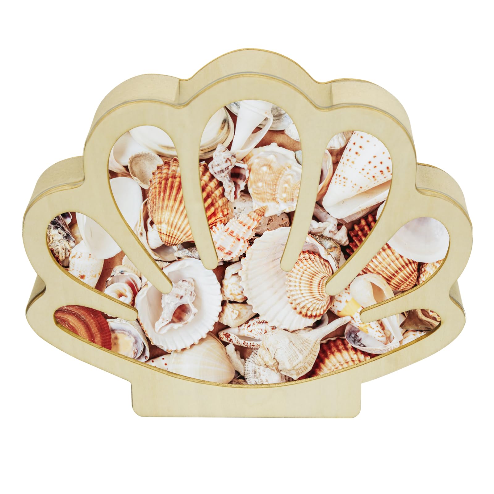 HINGTAI Sea Shell Holder Wooden Seashell Display Case Handmade Small Shadow Box Home Decoration with Clear Acrylic Panel Coastal Decor Bedroom Decor