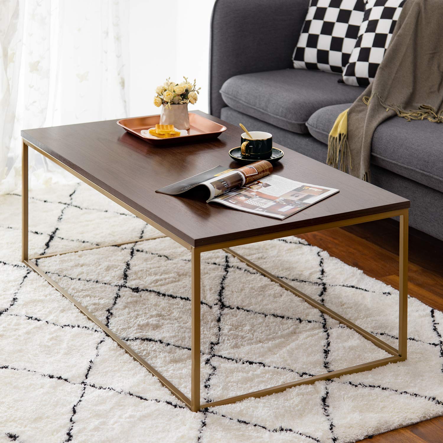 ASPECT Regis Coffee Table/Side Table (Walnut/Gold, 110x60x41(H) cm), CFT49WN/G