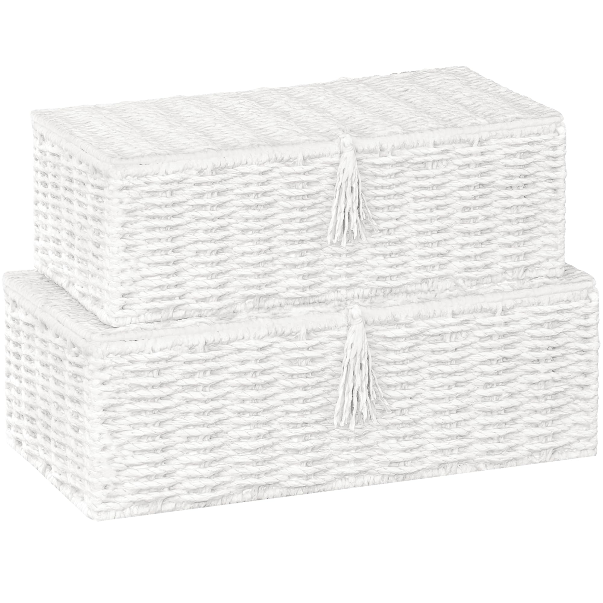 Vagusicc Storage Boxes with Lids, Handwoven Set of 2 Wicker Storage Baskets for Organizing, Nesting Storage Basket for Shelves
