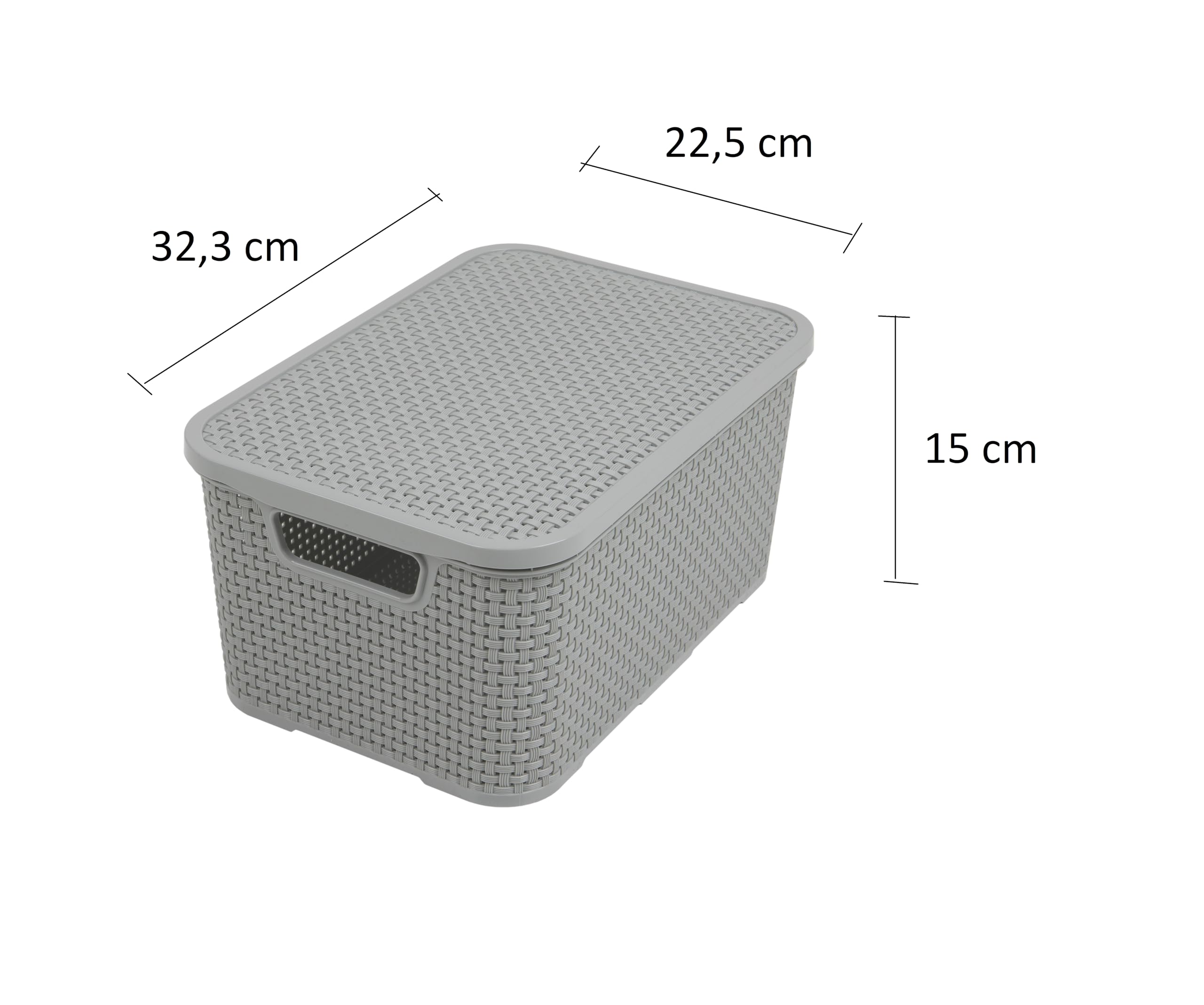 BranQ - Home essential Lid Basket in Rattan Design Size M 10 L BPA- Plastic PP Light Grey 28.8 x 19.7 x 16.2 cm 2 Pieces M
