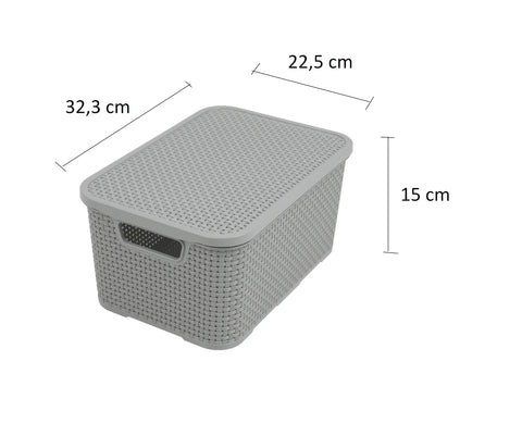 BranQ - Home essential Lid Basket in Rattan Design Size M 10 L BPA- Plastic PP Light Grey 28.8 x 19.7 x 16.2 cm 2 Pieces M