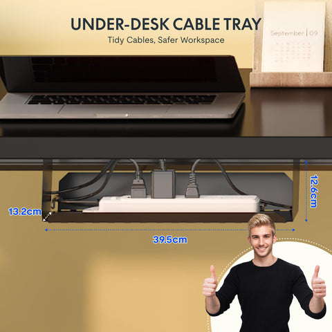 FlexiSpot E1 Plus ONE PIECE Electric Standing Desk Height Adjustable Sit Stand Desk with Memory Smart Panel(100 * 60cm, Black Frame+Black Desktop)