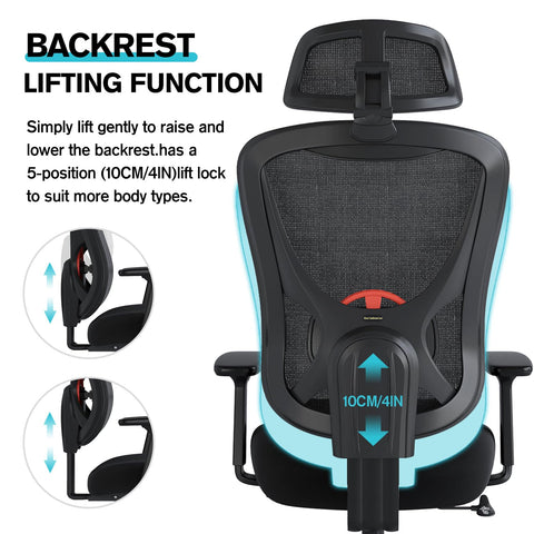 Eucladoceros Ergonomic Office Chair - Lift Up Mesh Backrest, 330lbs, Black