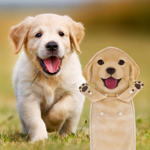 Golden Retriever Dog Funny Hand Towels for Bathroom Kitchen -Cute Decor Dog Dad Mum Women Fathers Mothers Day Easter Gifts Decorative Hanging