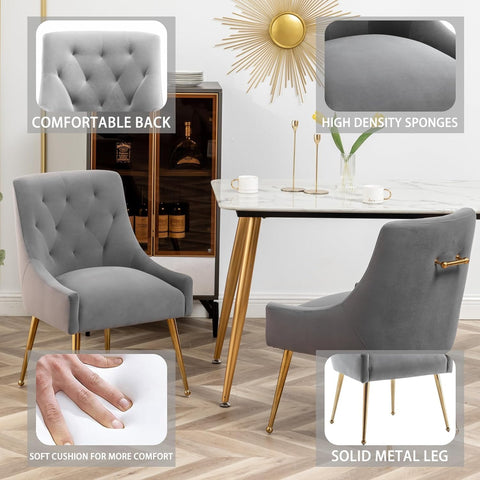 SEYNAR Dining Chair Set of 2,Modern Velvet Dining Chairs with Gold Legs,Elegant Tufted Accent Chairs for Reception, Living Room or Study Room