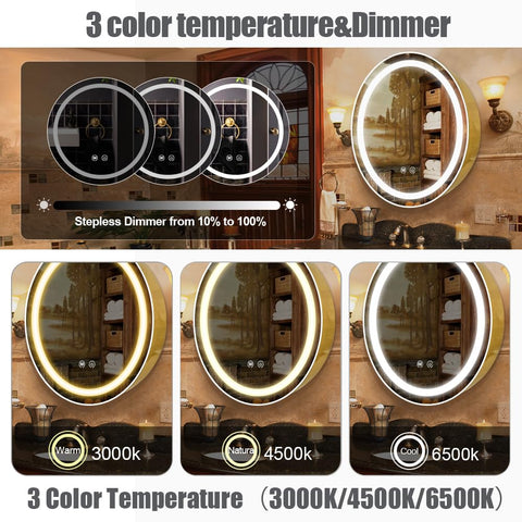 Janboe 71cm Round Mirror Cabinet with Lights,with Defogger,Dimmable,Anti-Fog,3 Colors,Gold