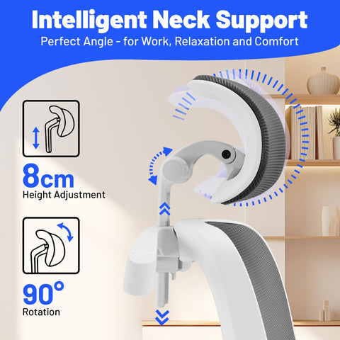 Coscendo Ergonomic Office Chair with Headrest & Lumbar Support, Grey