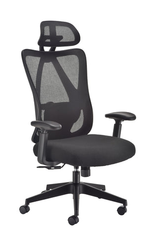 Office Hippo Ergonomic Mesh Office Desk Chair, Adjustable Arms, Swivel Chair with 2D Adjustable Lumbar Support, Headrest & Tension Control