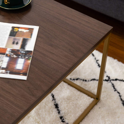 ASPECT Regis Coffee Table/Side Table (Walnut/Gold, 110x60x41(H) cm), CFT49WN/G
