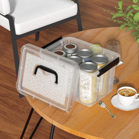 Ordate 6-Pack Clear Plastic Storage Bins with Lids, Plastic Storage Latch Box, 6 L