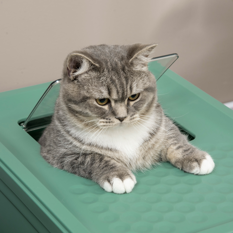 PawHut Hooded Cat Litter Box, Portable Pet Toilet w/ Scoop, Tray - Green