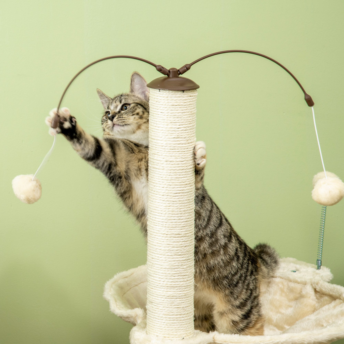 Cat Tree for Indoor Cats w/ Scratching Posts Hammock, Toy Ball - Beige Pawhut