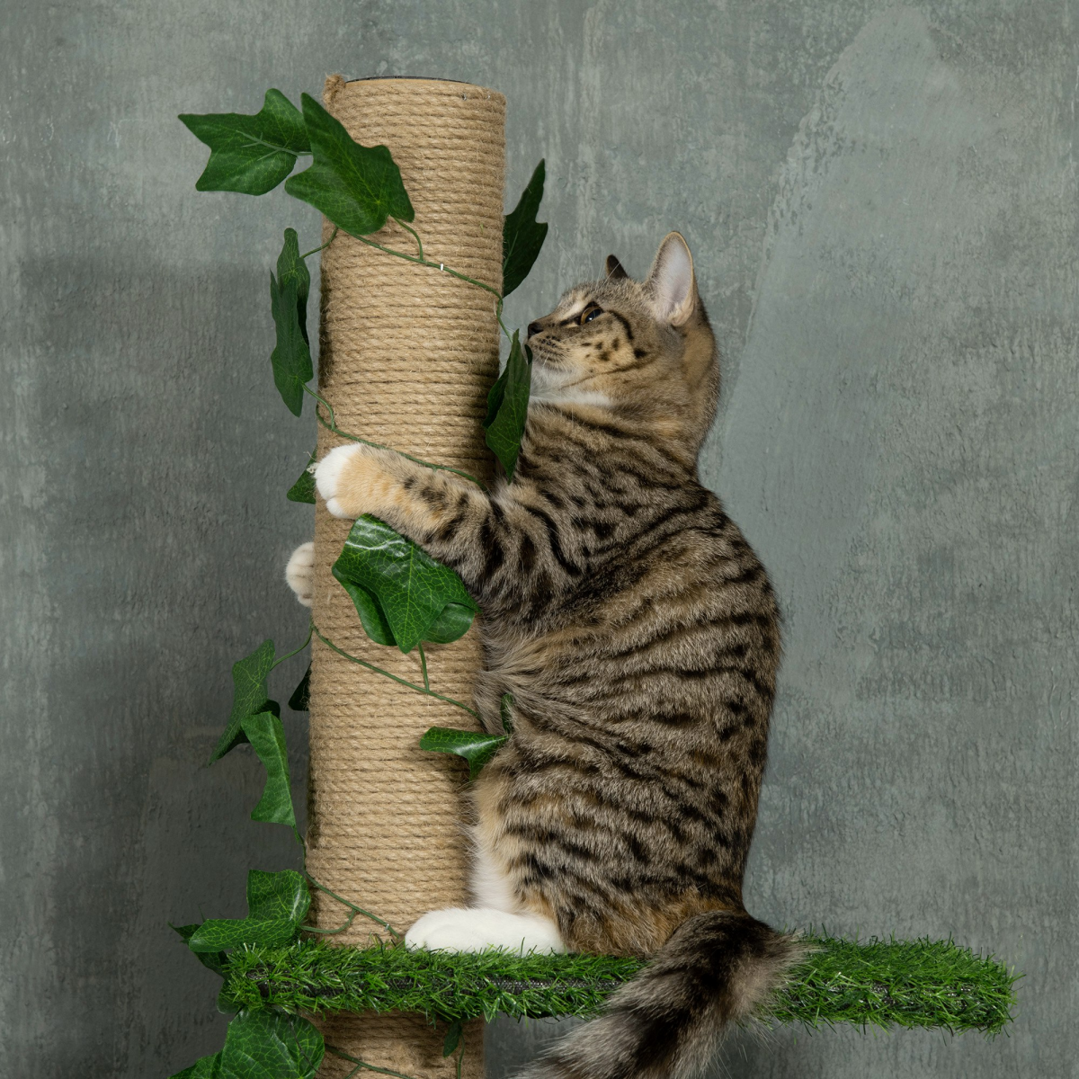 242cm Adjustable Floor-To-Ceiling Cat Tree w/ Anti-Slip Kit - Green