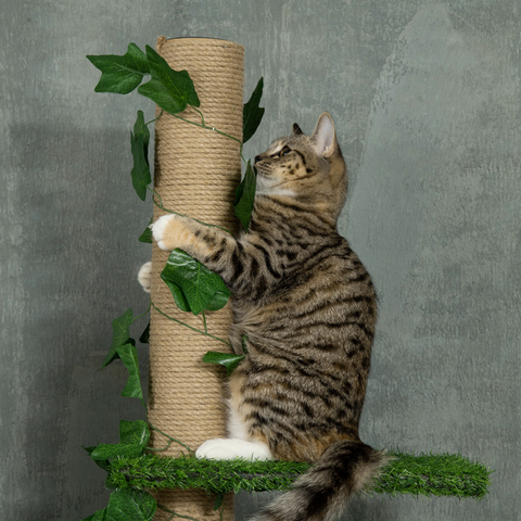 242cm Adjustable Floor-To-Ceiling Cat Tree w/ Anti-Slip Kit - Green