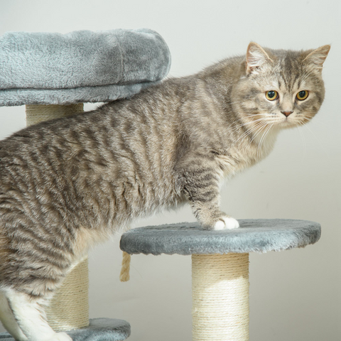 Cat Tree Scratcher Kitty Activity Play Center Post 2 Perch w/ Hanging Sisal Rope