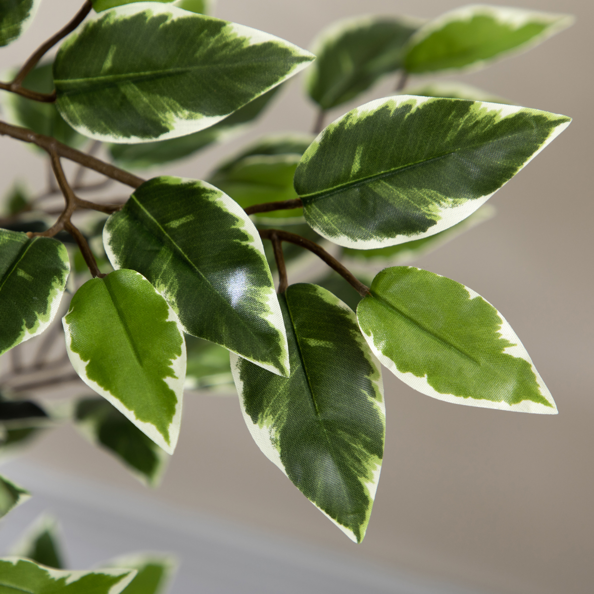 HOMCOM Artificial Ficus Tree with Lifelike Leaves and Natural Trunks Green