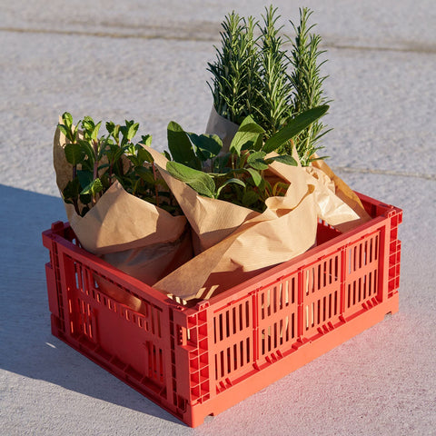 HAY Colour Crate 541462 Transport Box M Recycled Polypropylene Red Dimensions: 34.5 cm x 26.5 cm x 14 cm