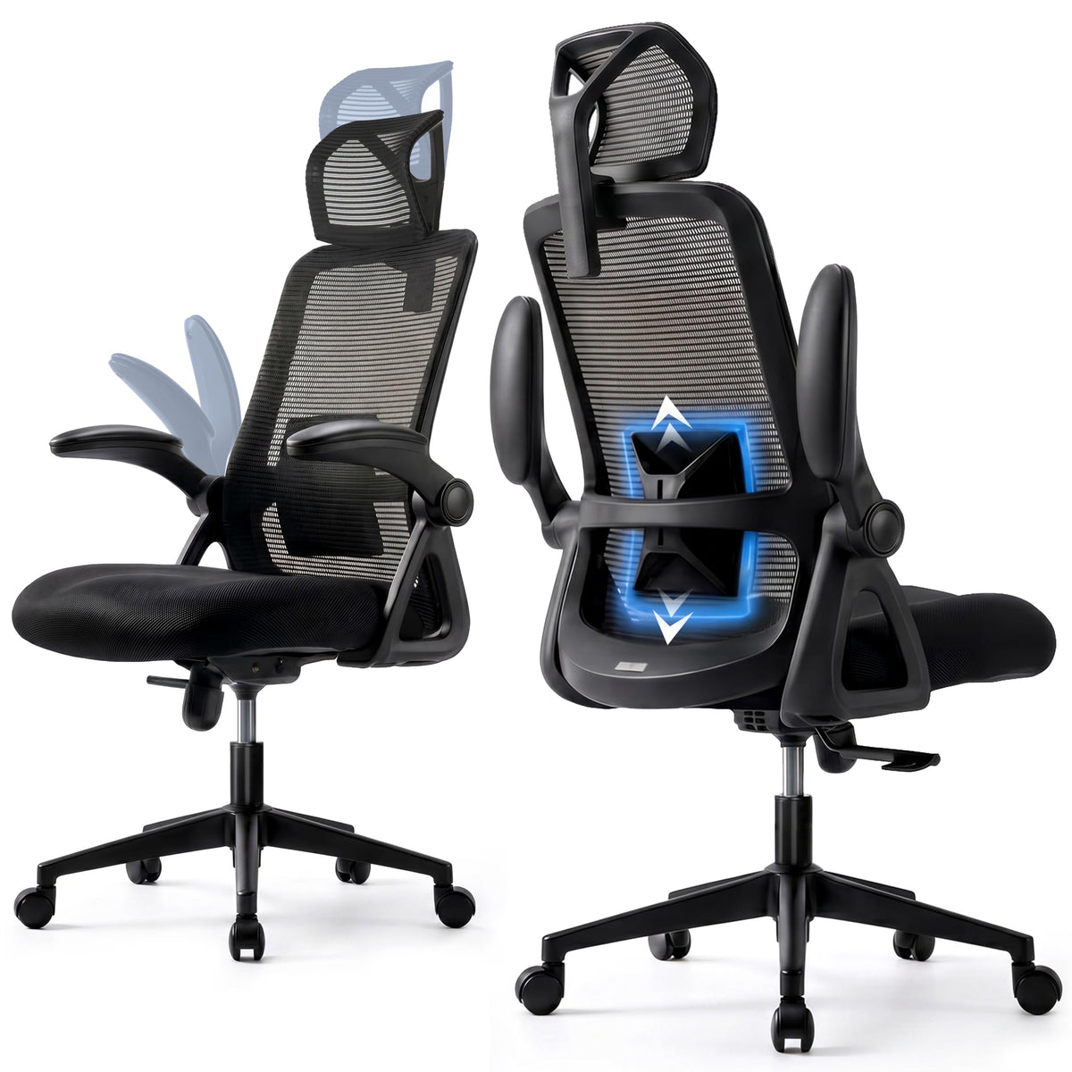 Realm of Thrones Mesh Ergonomic Office Chair, Back Support and Long Hours