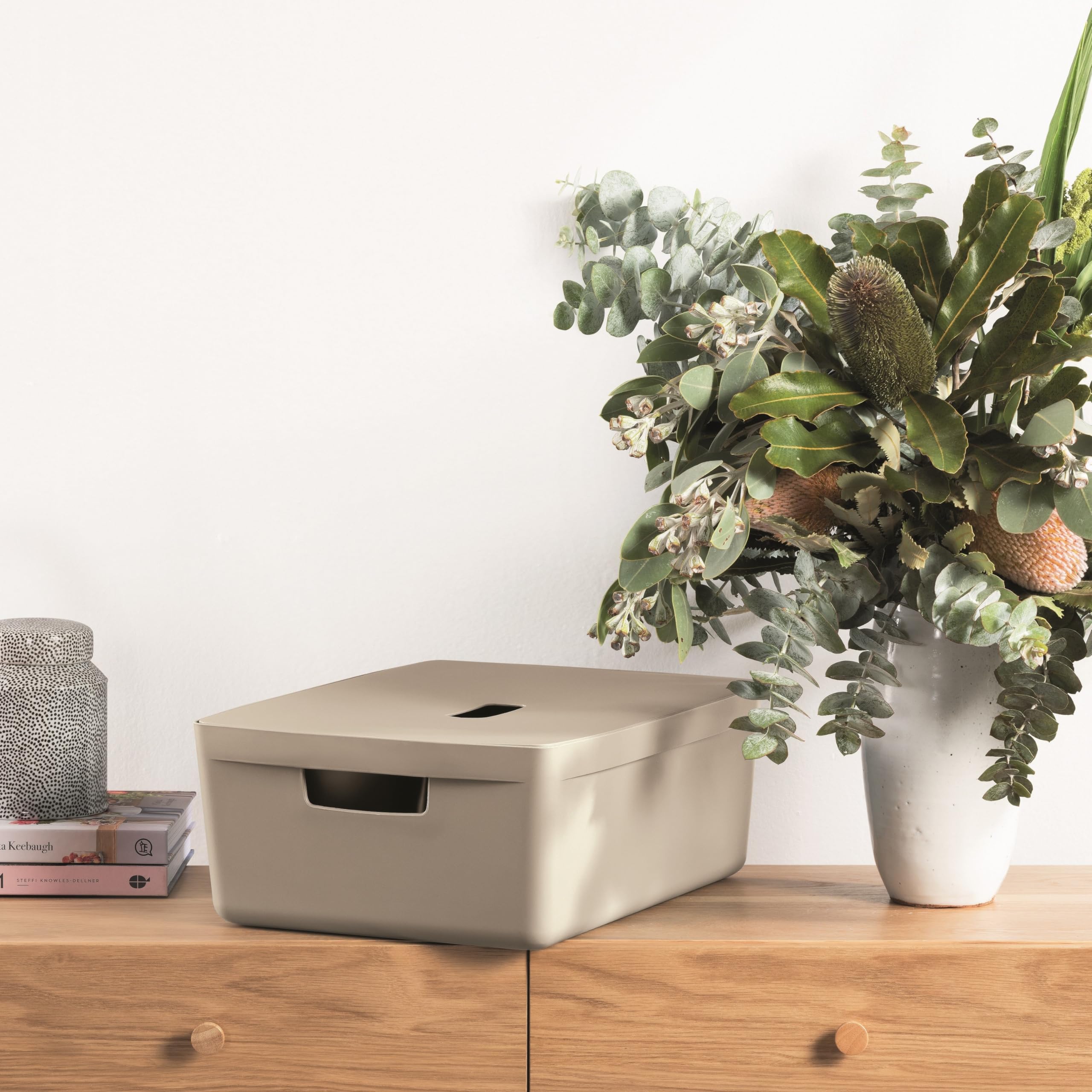 IDEA HOME Plastic Storage Box with Lid - Storage Boxes - Storage Organiser - Really Useful Boxes for Storing Various Items in the Living Room