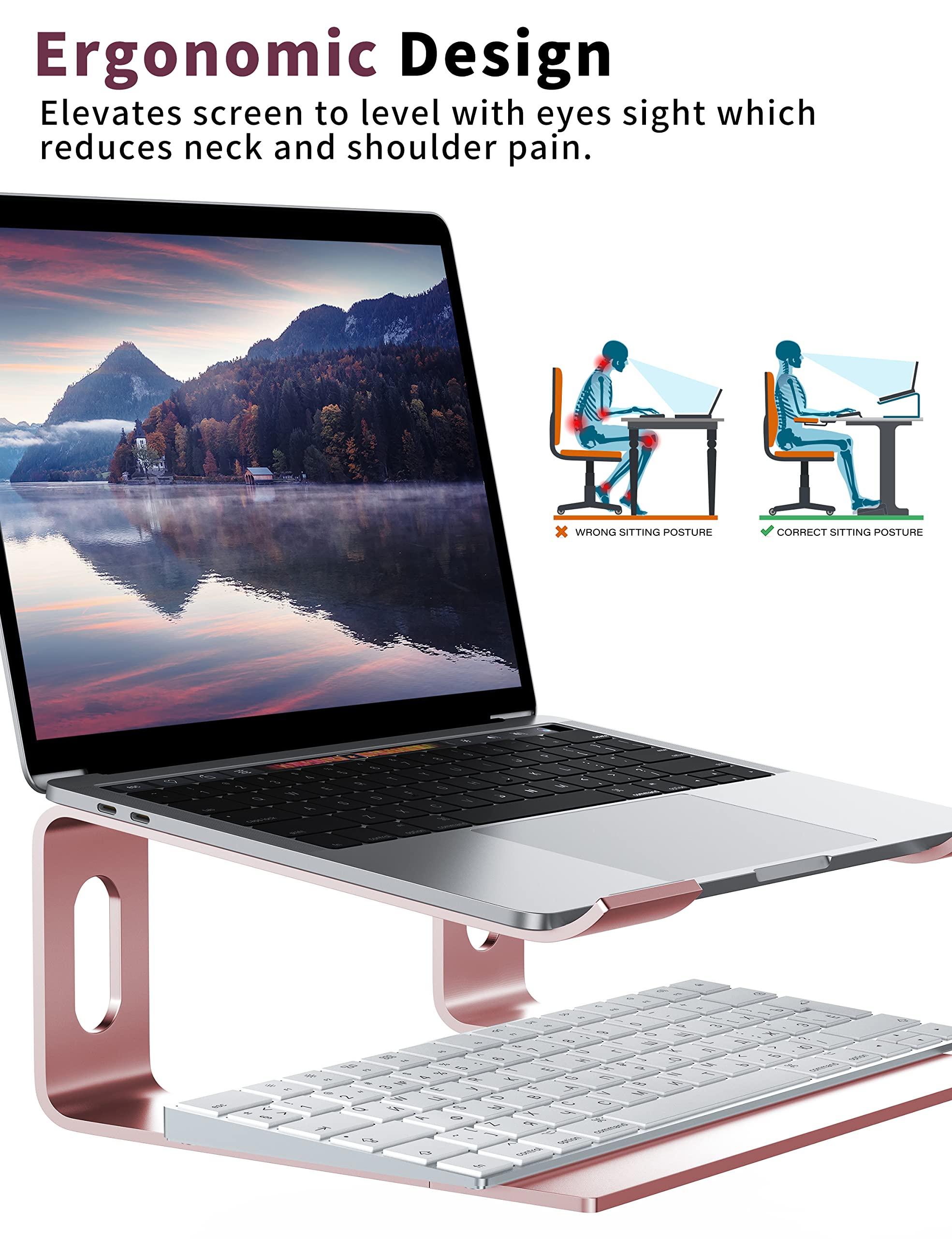 ALASHI Laptop Stand for Desk, Aluminum Computer Riser, Ergonomic Notebook Holder, Detachable Metal Laptops Elevator