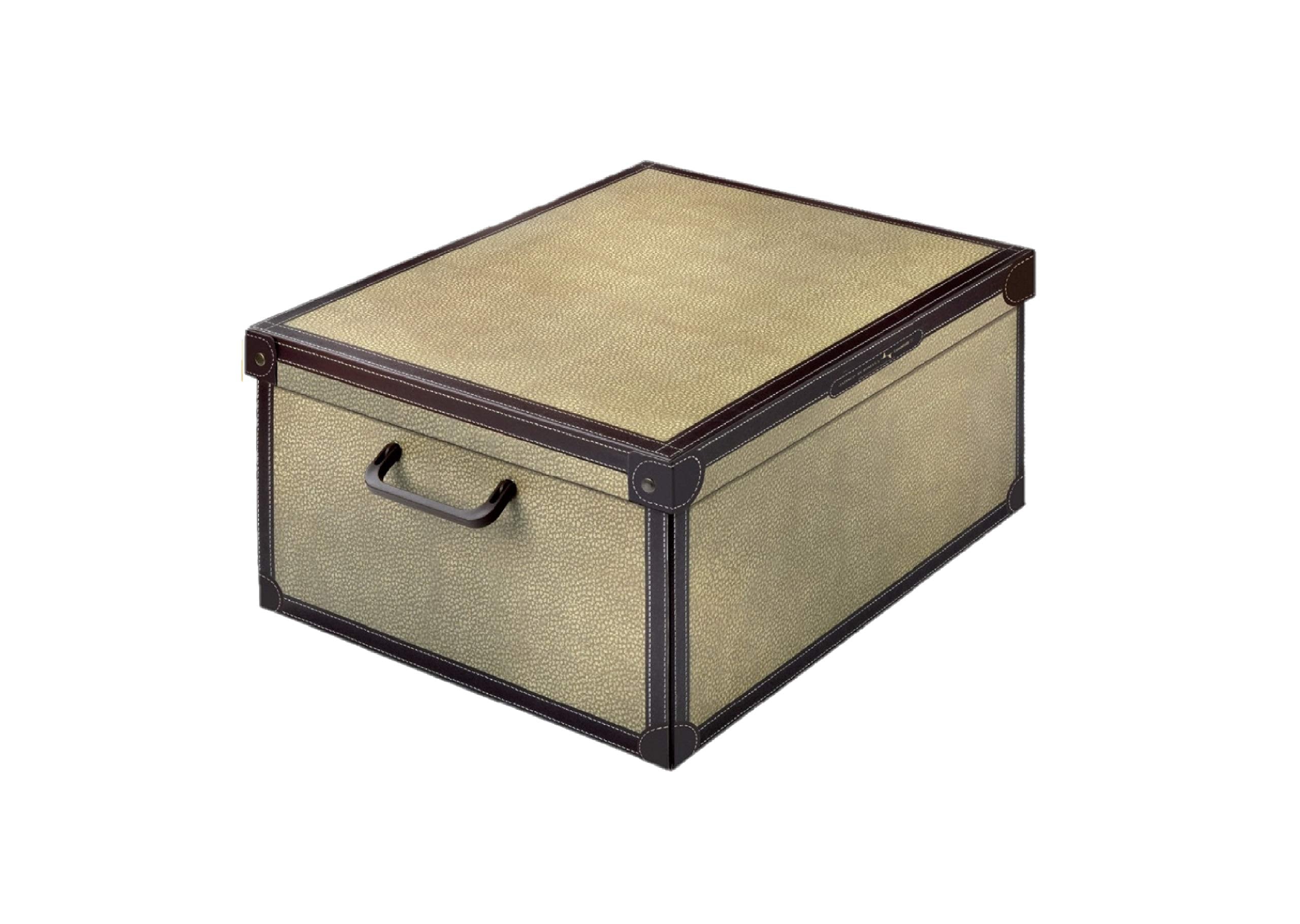 Lavatelli Cardboard Storage Boxes with Lid Tapirus 32x42x21cm Home Storage