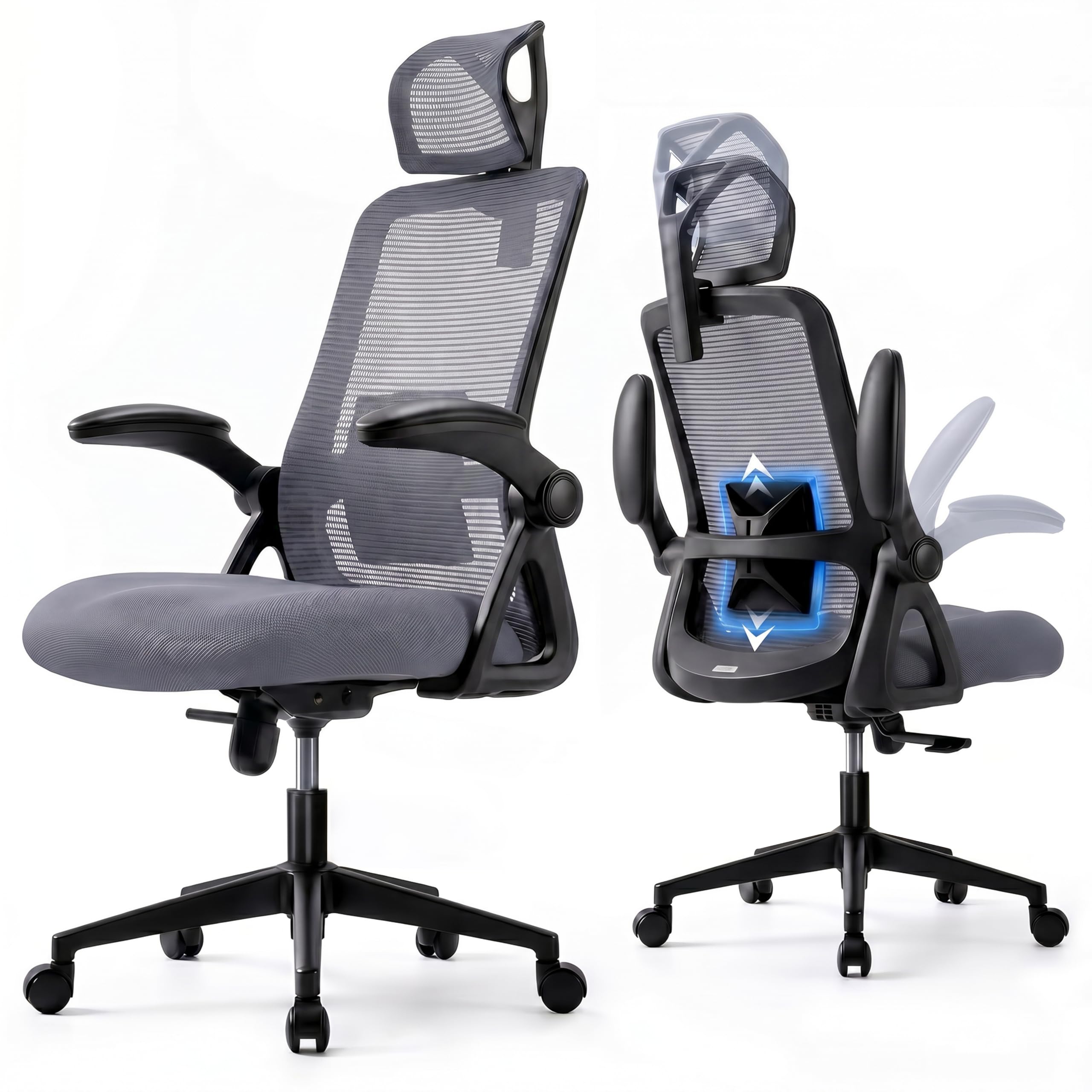 Realm of Thrones Mesh Ergonomic Office Chair, Back Support and Long Hours