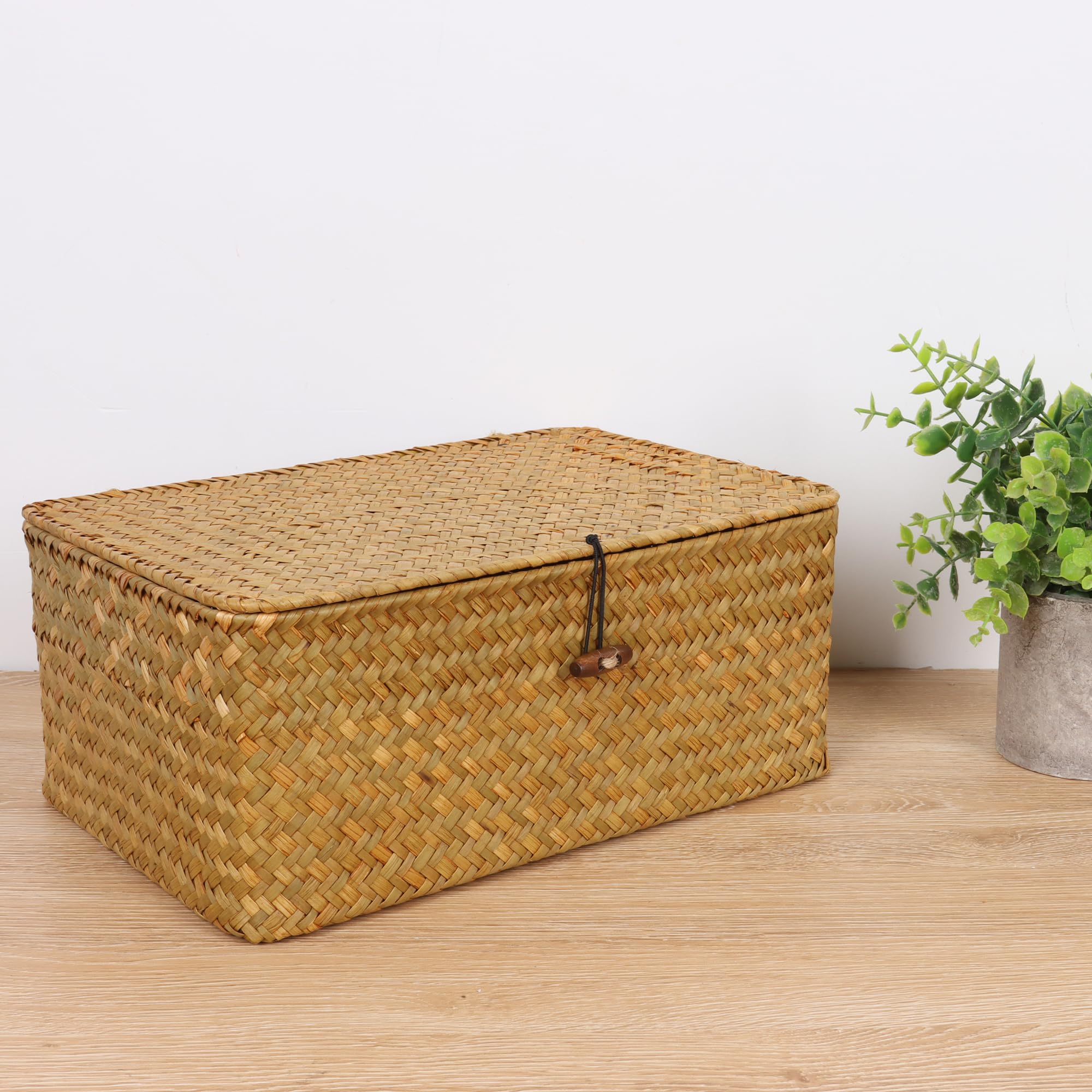 FEIALNDUO Wicker Shelf Baskets with Lid,Seagrass Storage Basket Bins Rectangular Handwoven Basket Boxes for Shelves Desktop Home Organizer