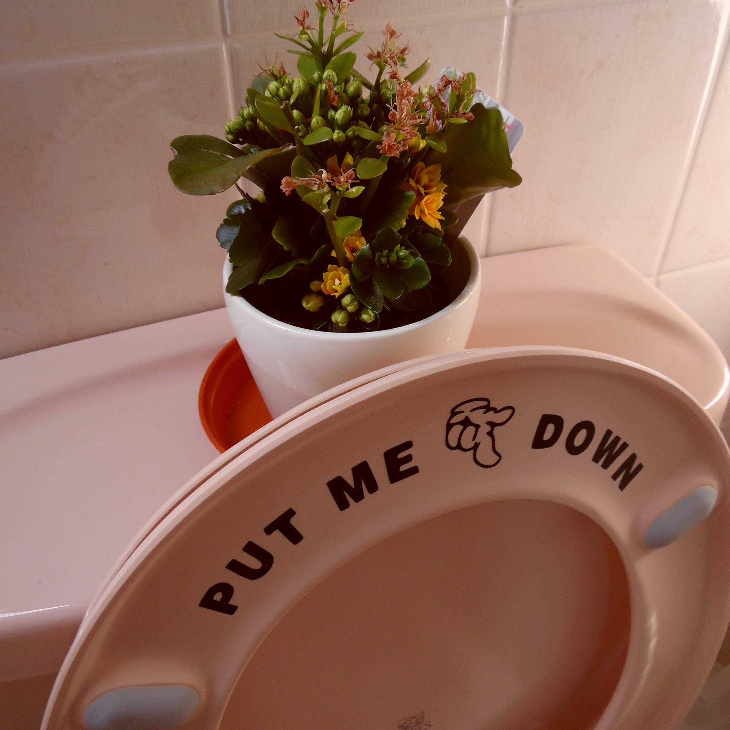 Fun 'Put Me Down' Funny Toilet Seat Sticker Bathroom Cute Wall Decal - Black Accessory - Potty Training (Black)