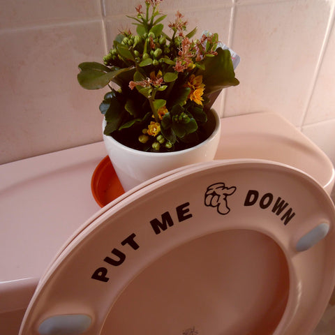 Fun 'Put Me Down' Funny Toilet Seat Sticker Bathroom Cute Wall Decal - Black Accessory - Potty Training (Black)