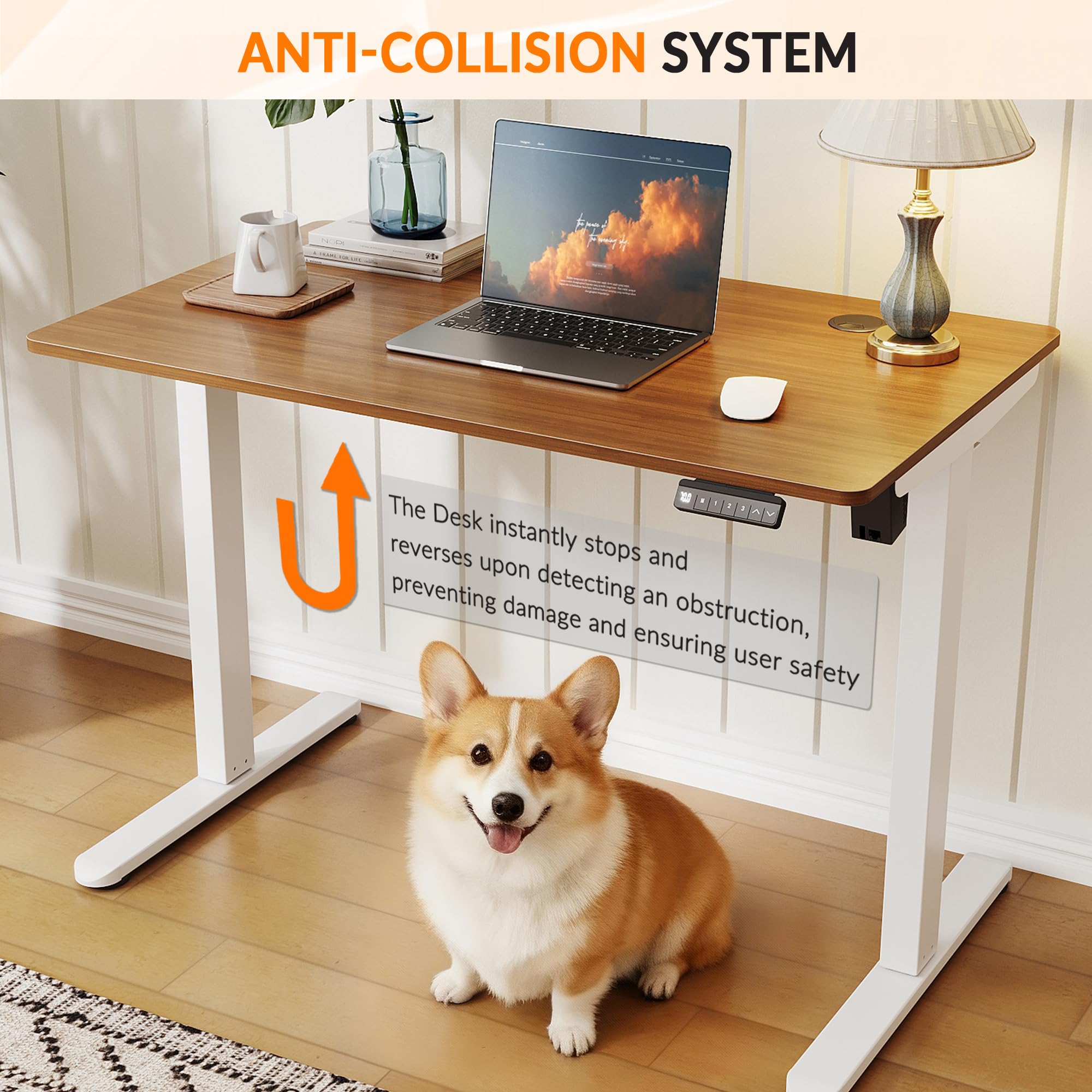 ELEGANT Electric Standing Desk 120x60cm, Height Adjustable Sit Stand Desk