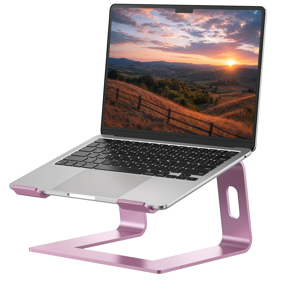 SOUNDANCE Laptop Stand, Aluminum Ergonomic Desk Riser, 10-15.6",Gold Pink