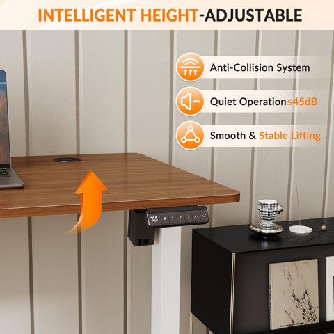 ELEGANT Electric Standing Desk 120x60cm, Height Adjustable Sit Stand Desk