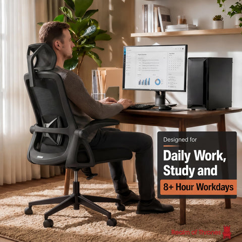 Realm of Thrones Mesh Ergonomic Office Chair, Back Support and Long Hours