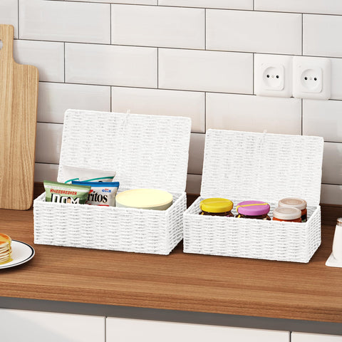 Vagusicc Storage Boxes with Lids, Handwoven Set of 2 Wicker Storage Baskets for Organizing, Nesting Storage Basket for Shelves