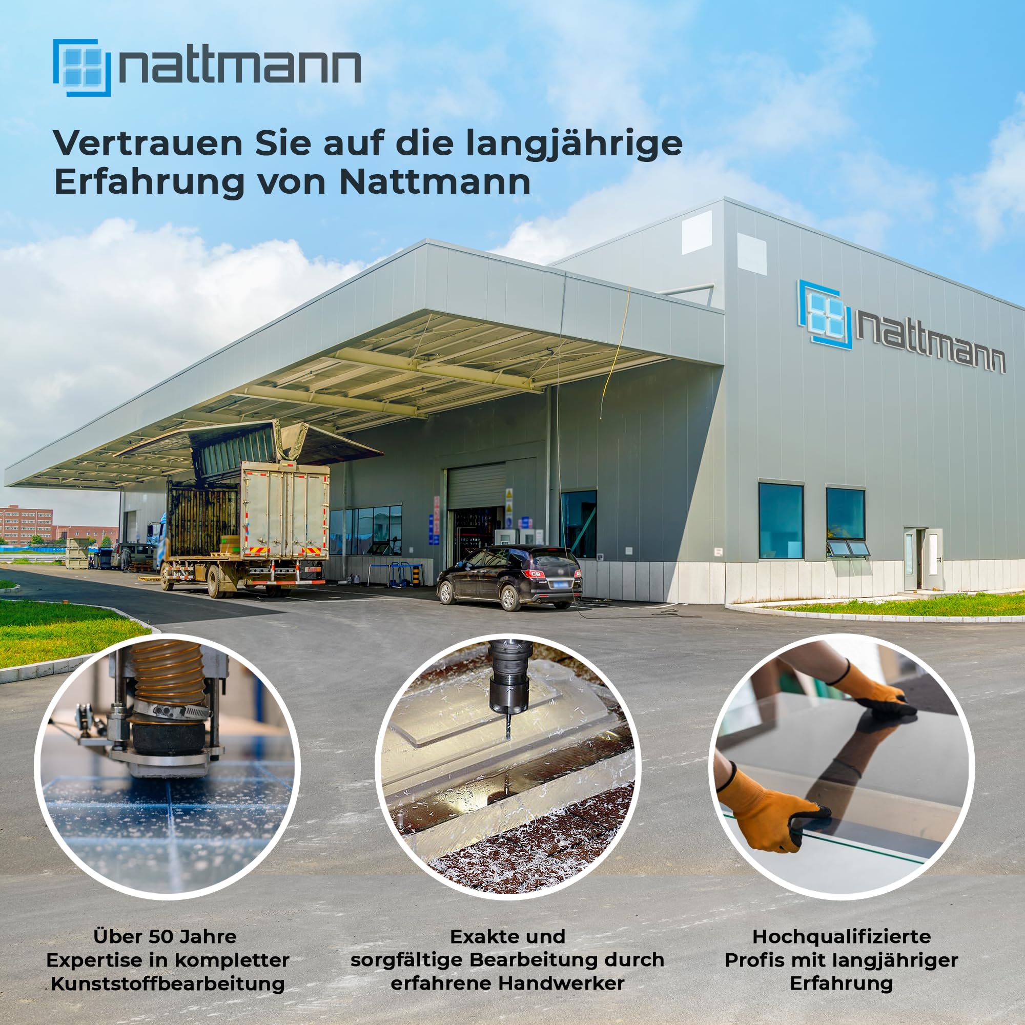 nattmann Plexiglas® GS coloured, 3 mm, versatile, shatterproof acrylic glass plate for light objects and more, brand quality in 12 x 25 cm