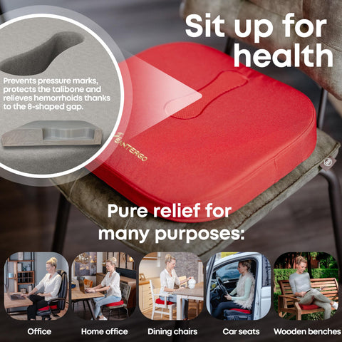 SANTERGO Orthopedic Seat cushion [PATENTED & STABLE] Lumbar Coccyx | Seat cover office chair car wheelchair | seat cushion, ergonomic back cushion