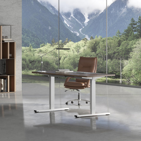 FLEXISPOT CylineE Electric Standing Desk Frame with Round Legs, Height Adjustable Sit-Stand with Memory Control Panel and Anti-Collision System, White