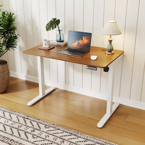 ELEGANT Electric Standing Desk 120x60cm, Height Adjustable Sit Stand Desk
