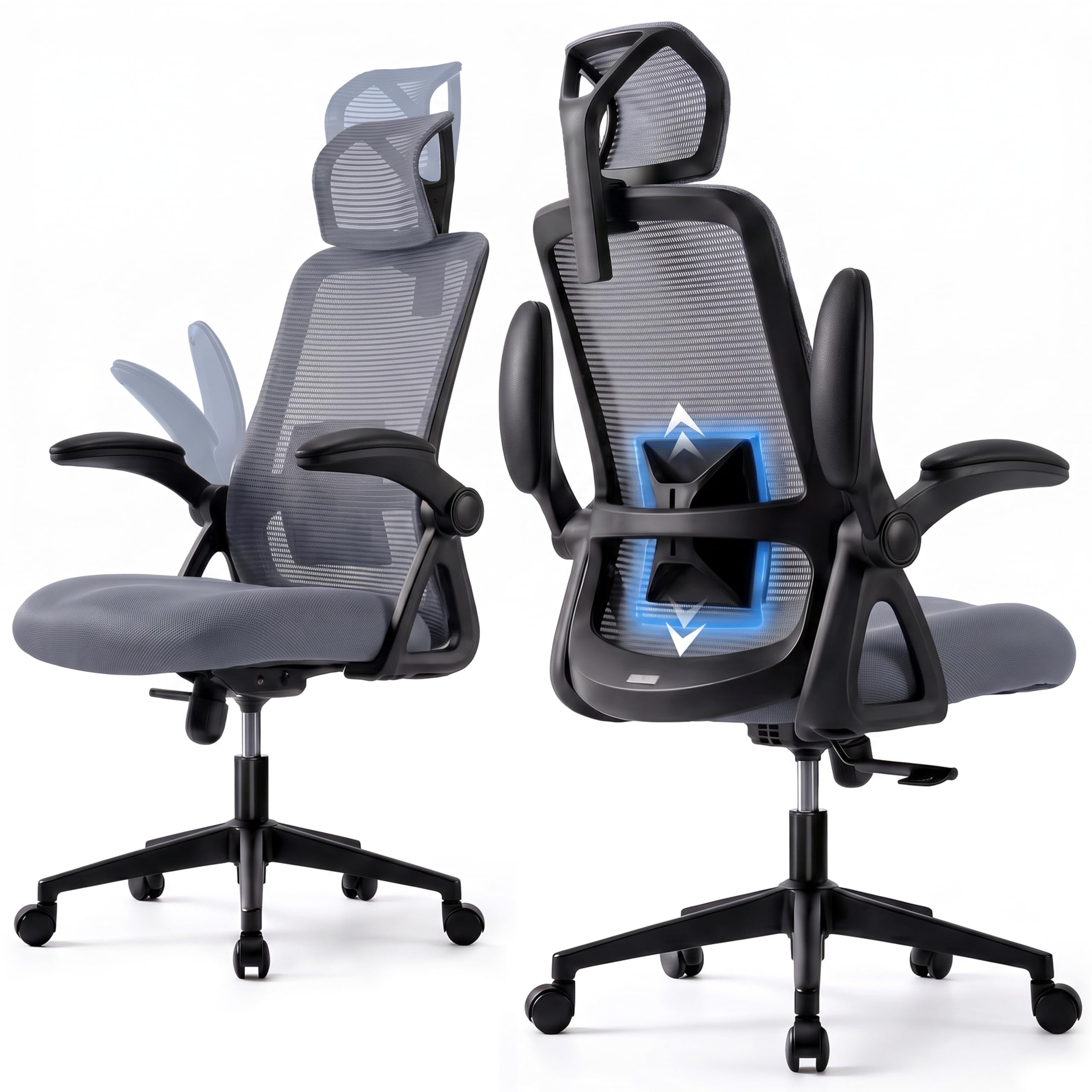 Realm of Thrones Mesh Ergonomic Office Chair, Back Support and Long Hours