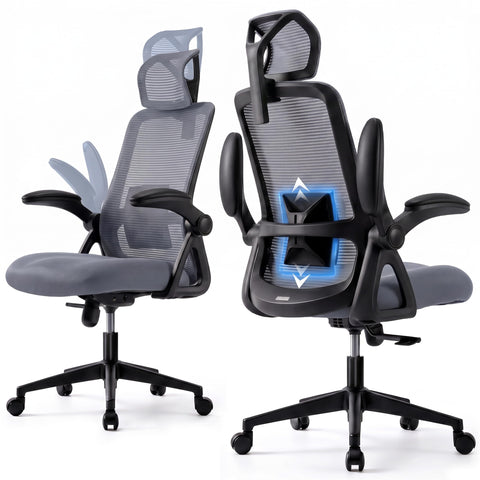 Realm of Thrones Mesh Ergonomic Office Chair, Back Support and Long Hours