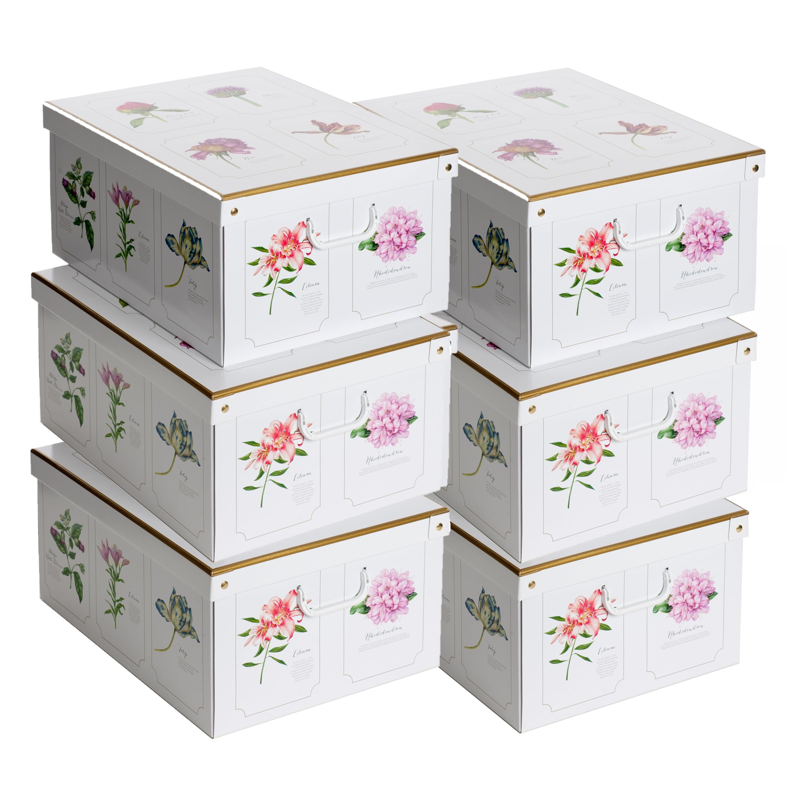 Lavatelli Set of 6 Cardboard Storage Boxes with Lid Botanic 39x50x24cm